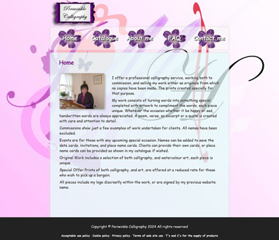 Webiste example
